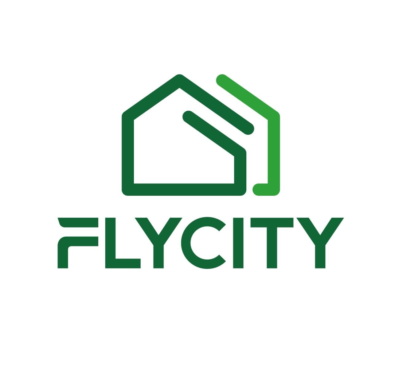 Flycitymall brand logo