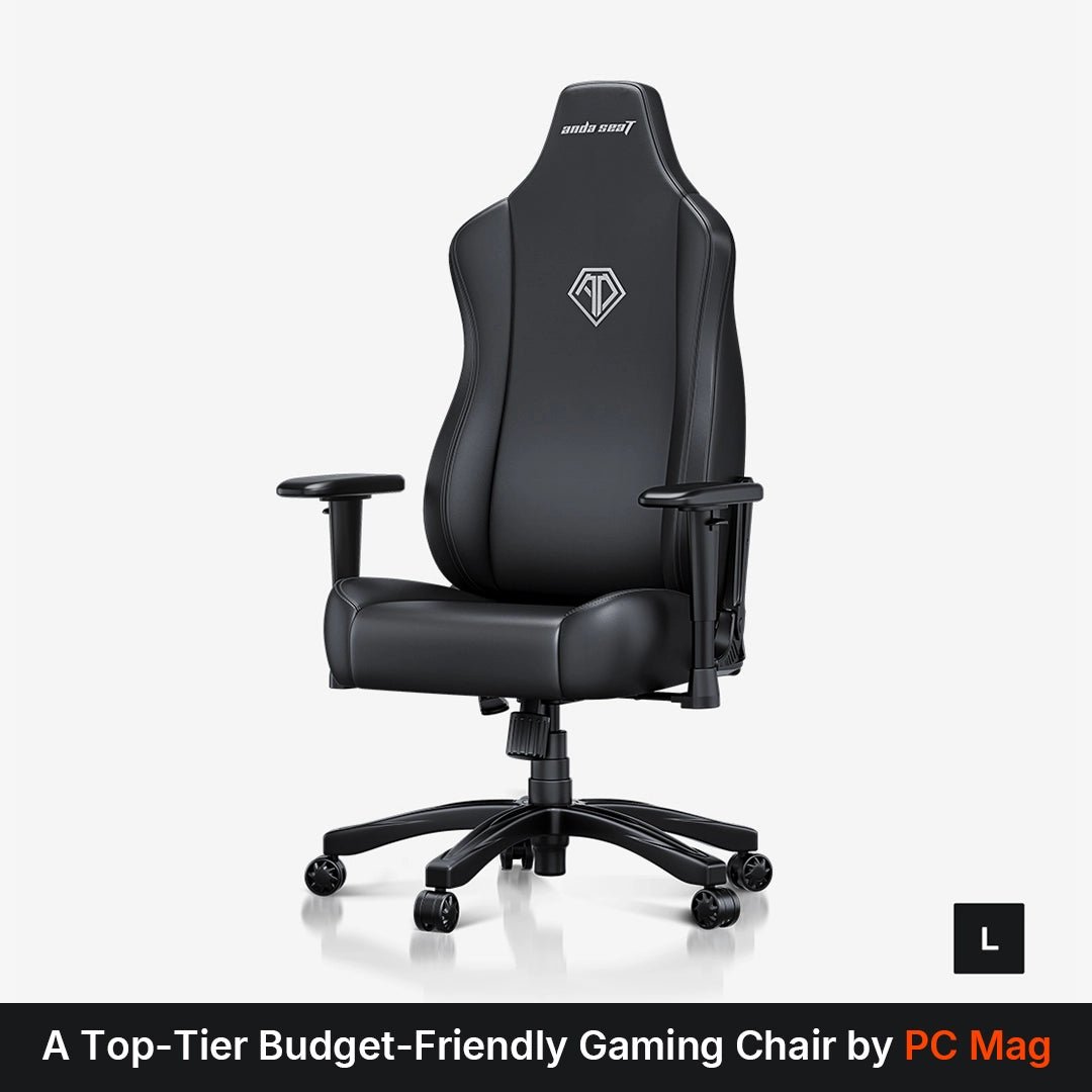Andaseat Novis Series Best Budget Ergonomic Gaming Chair product photo from AndaSeat
